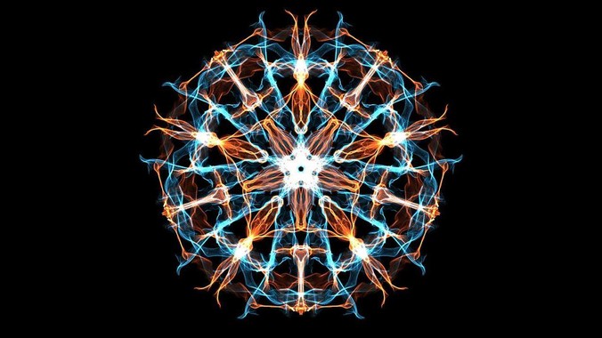 养乌龟是什么体会？